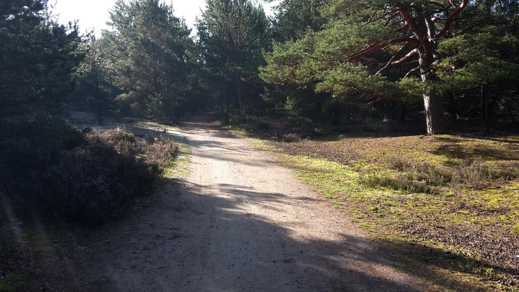 Zagroda Pod Gontem Kopalino Exteriör bild